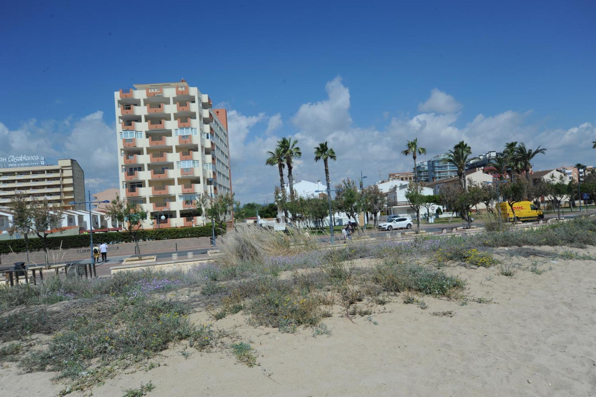Europeniscola Orangecosta Apartman Kültér fotó